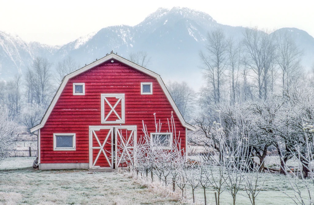 Rural Barn 09