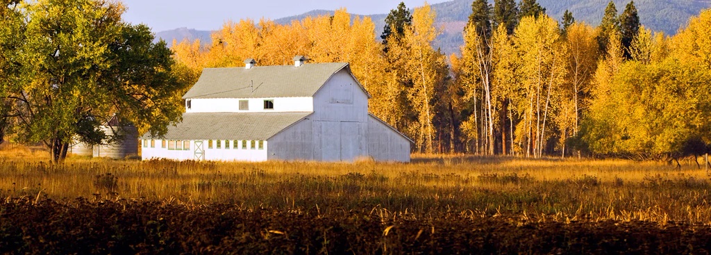 Barni in Fall, Montana