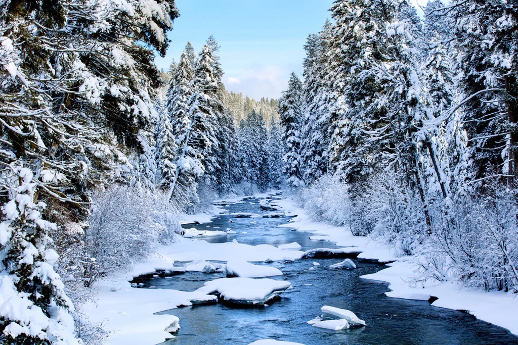 East Fork of the Bitterroot River, Montana