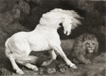 A Horse Affrighted At a Lion, 1788