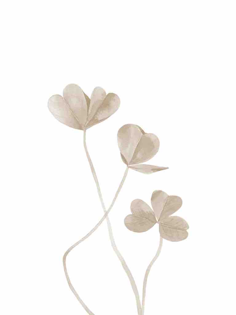 Dried Leaves - Clover 1
