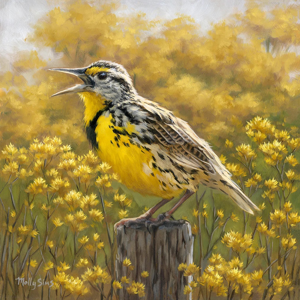 Golden Meadow (Meadowlark Bird)