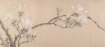 Magnolia, dated 1549