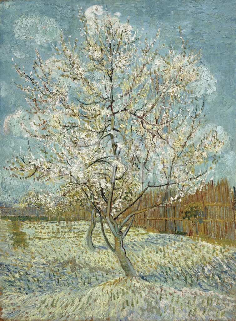 The Pink Peach Tree, 1888