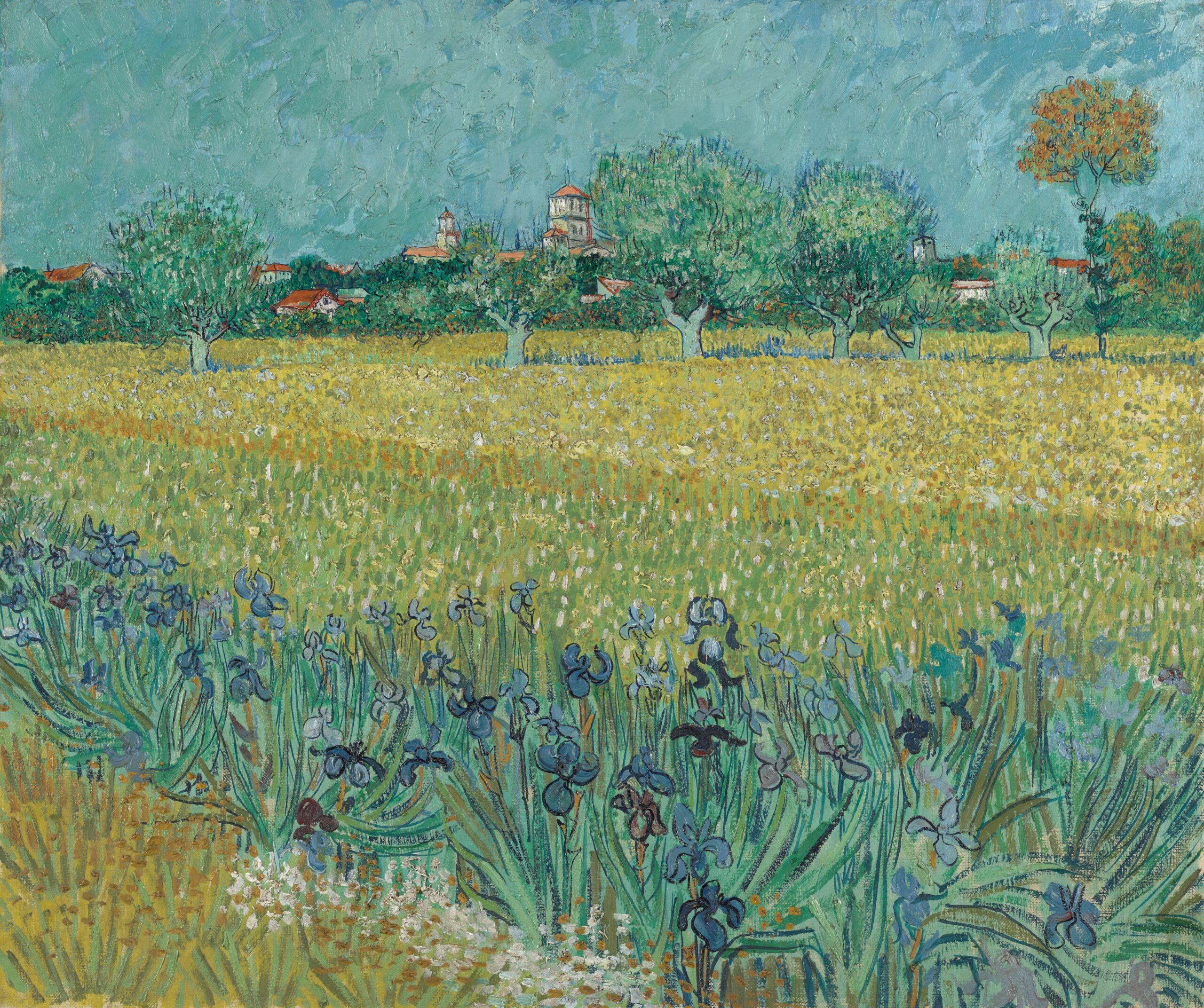 Field with Flowers Near Arles, 1888
