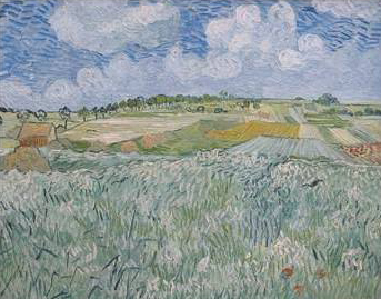 Plain Near Auvers, 1890