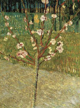 Almond Tree in Blossom, 1888