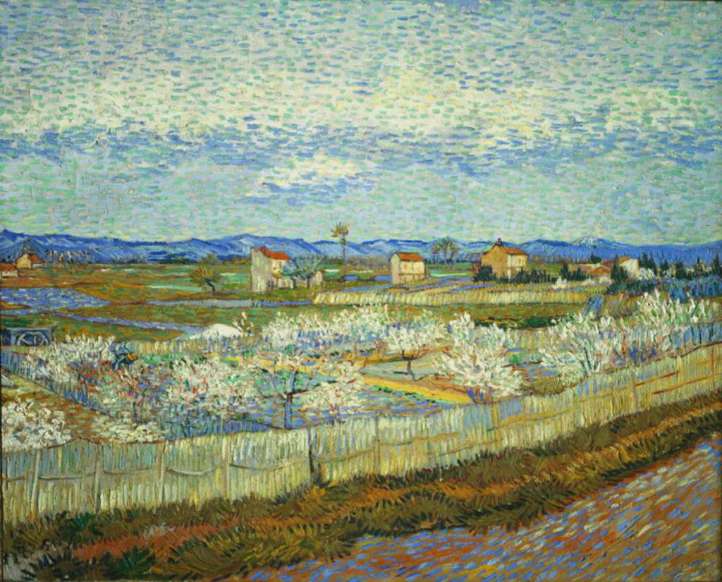 Peach Blossoms in the Crau