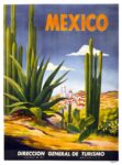 Mexico - Cactus Landscape