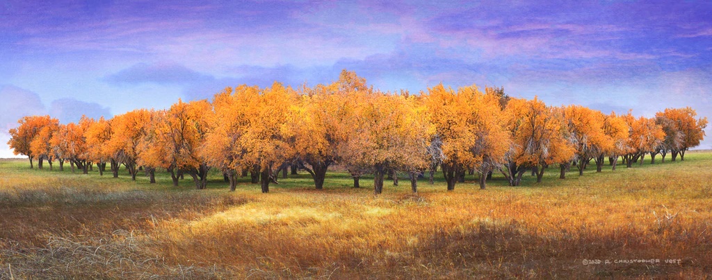 Apple Orchard