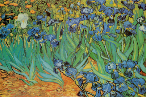 Irises in the Garden