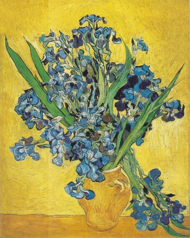 Irises in Vase