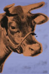 Cow, 1971 (purple & orange)