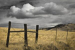 Siskiyou County Landscape