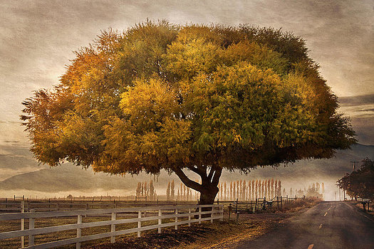 Autumnal Landscape