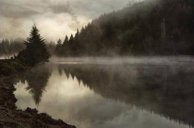 Coos Fog
