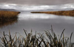 Lake Calm