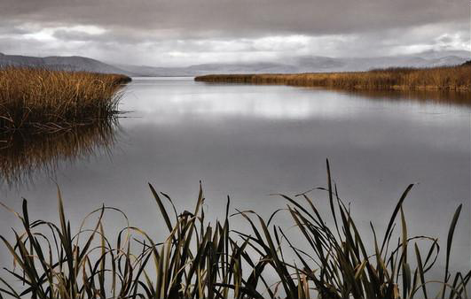 Lake Calm