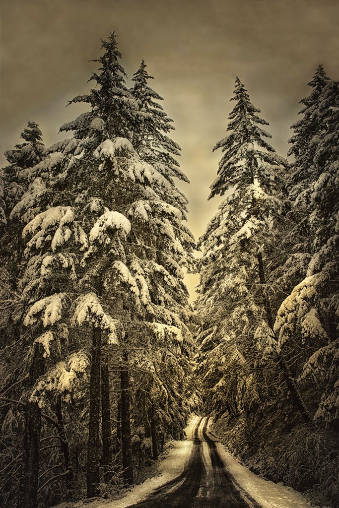 Wagner Creek Snow
