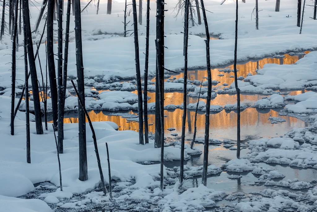Yellowstone Landscape, Wyoming