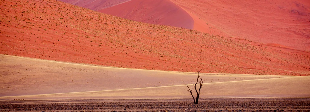 Sossusvlei, Namib-Naukluft National Park, Namibia