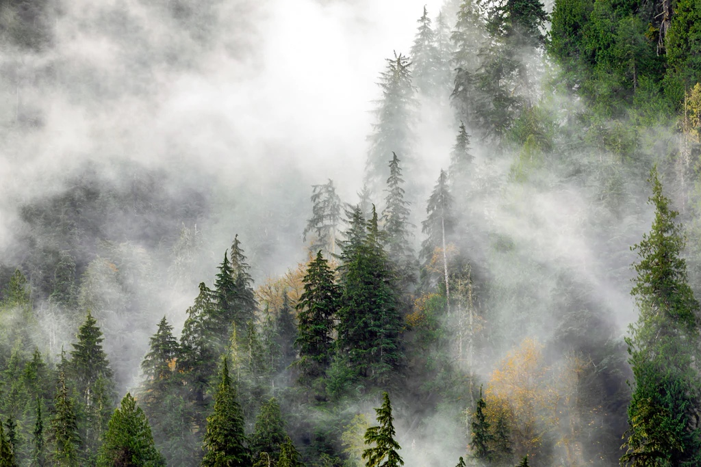 Cascade Range, Washington