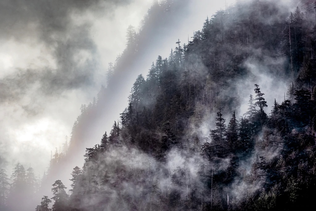 Abstract Cascade Range, Washington
