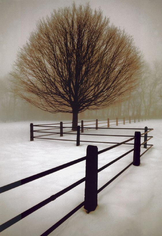 Solitude