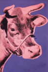 Cow, 1976 (pink & purple)