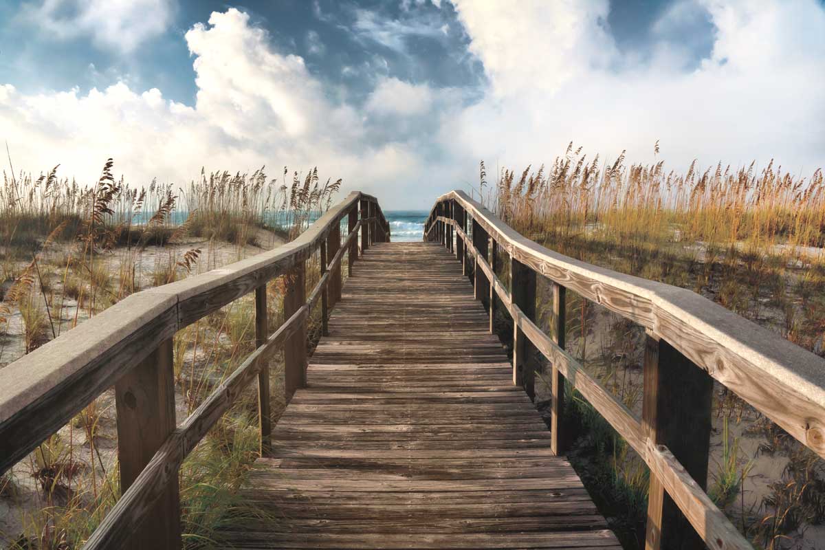 Path To Paradise