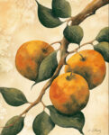 Italian Harvest - Oranges