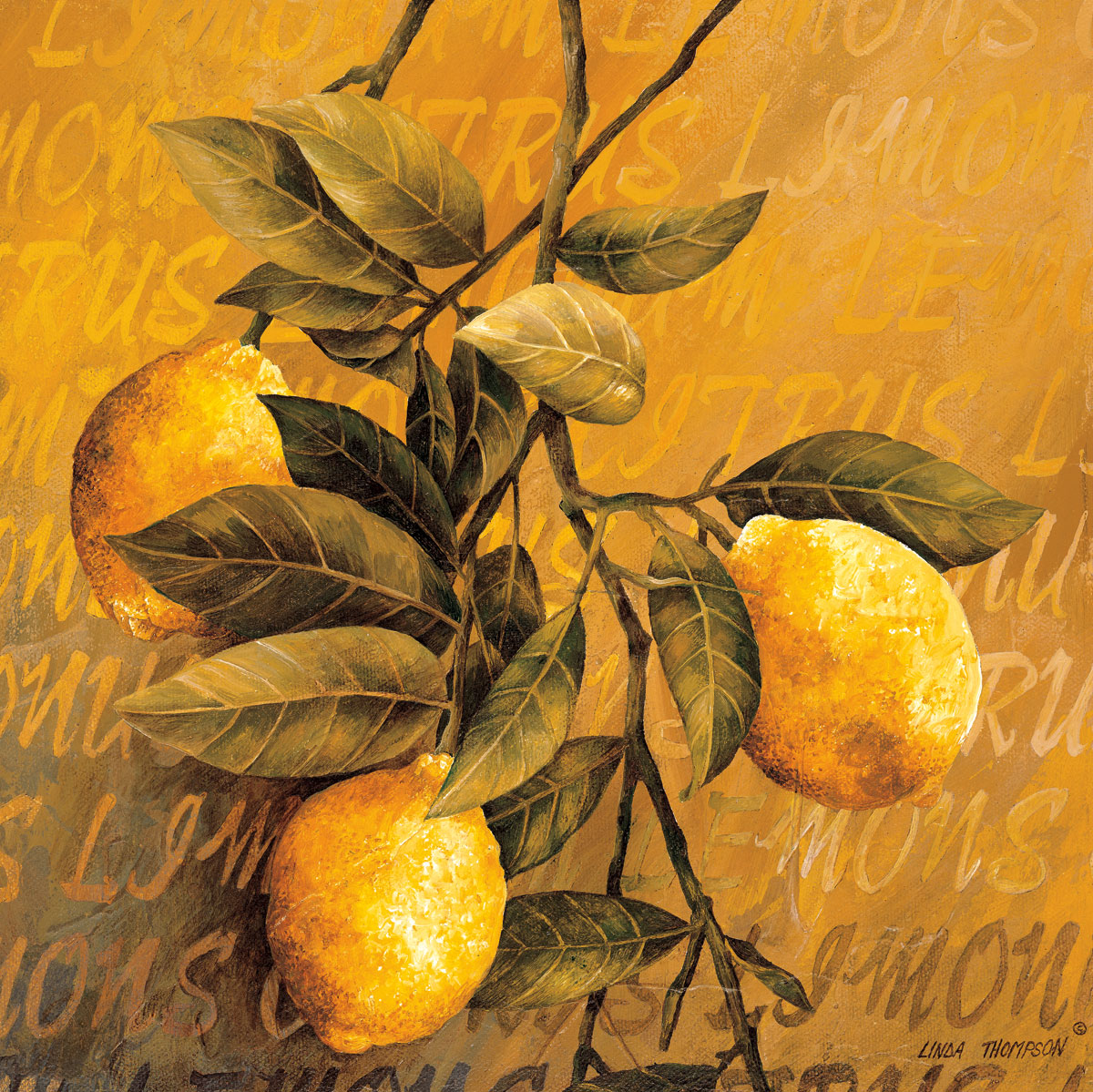 Orange Branch