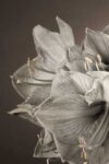 Grand flowers & plants I