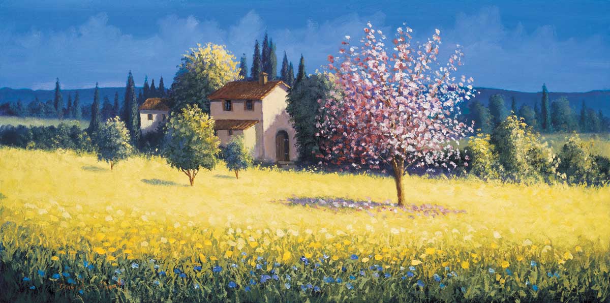 Spring Blossoms