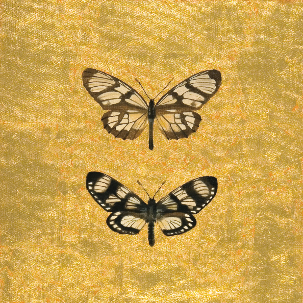 Pair of Butterflies On Gold