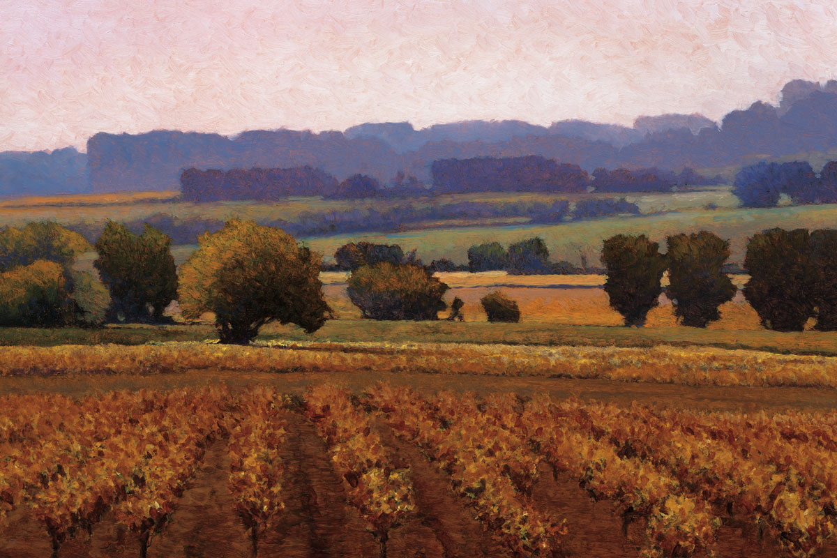 Terroir