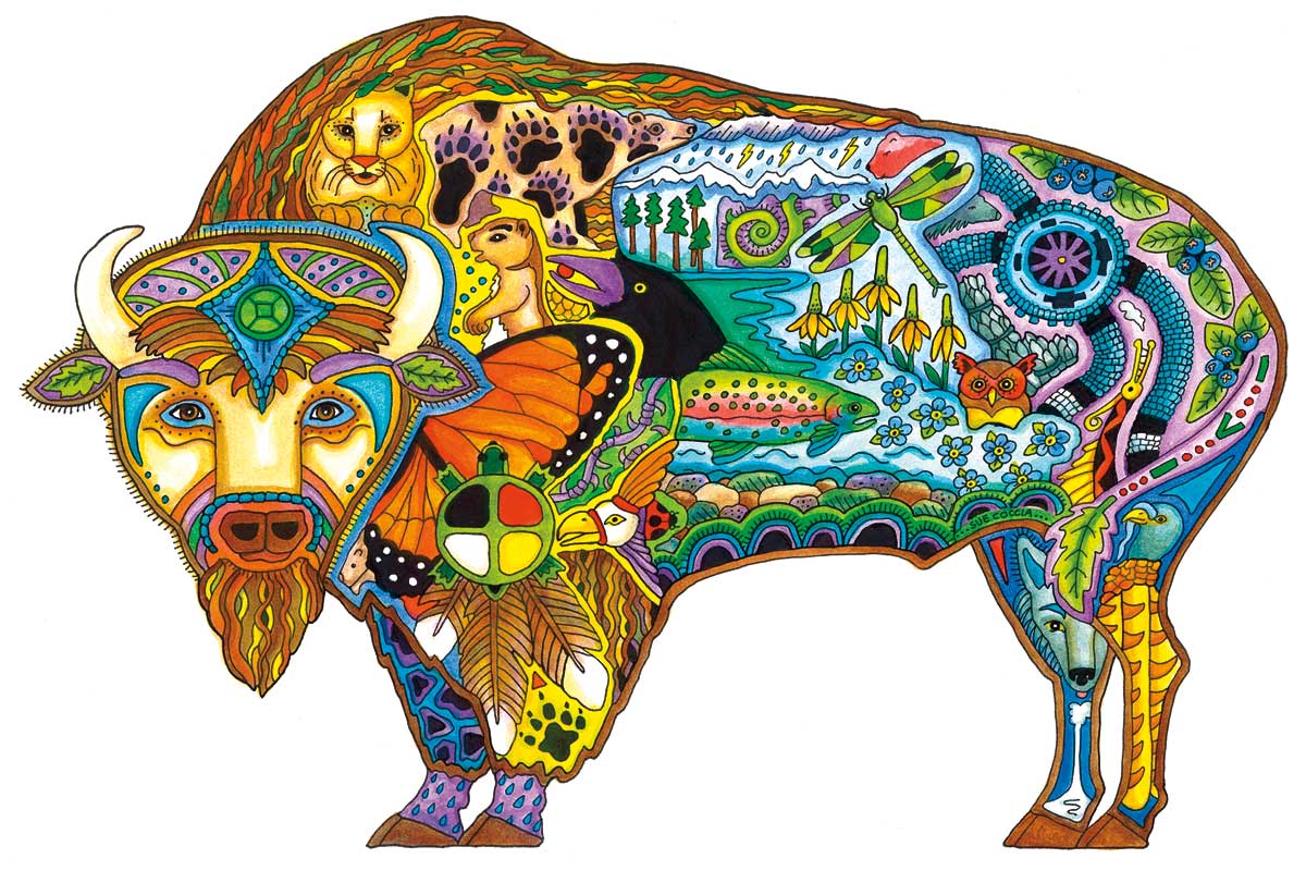 Bison