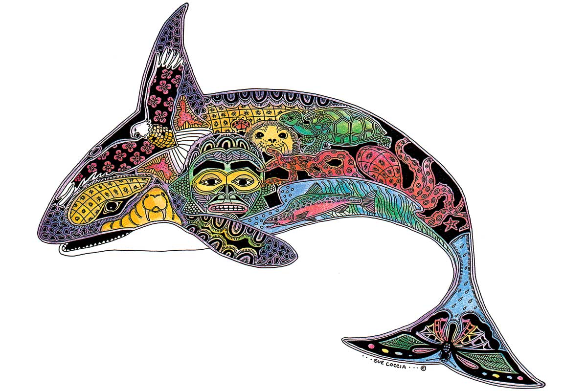 Orca