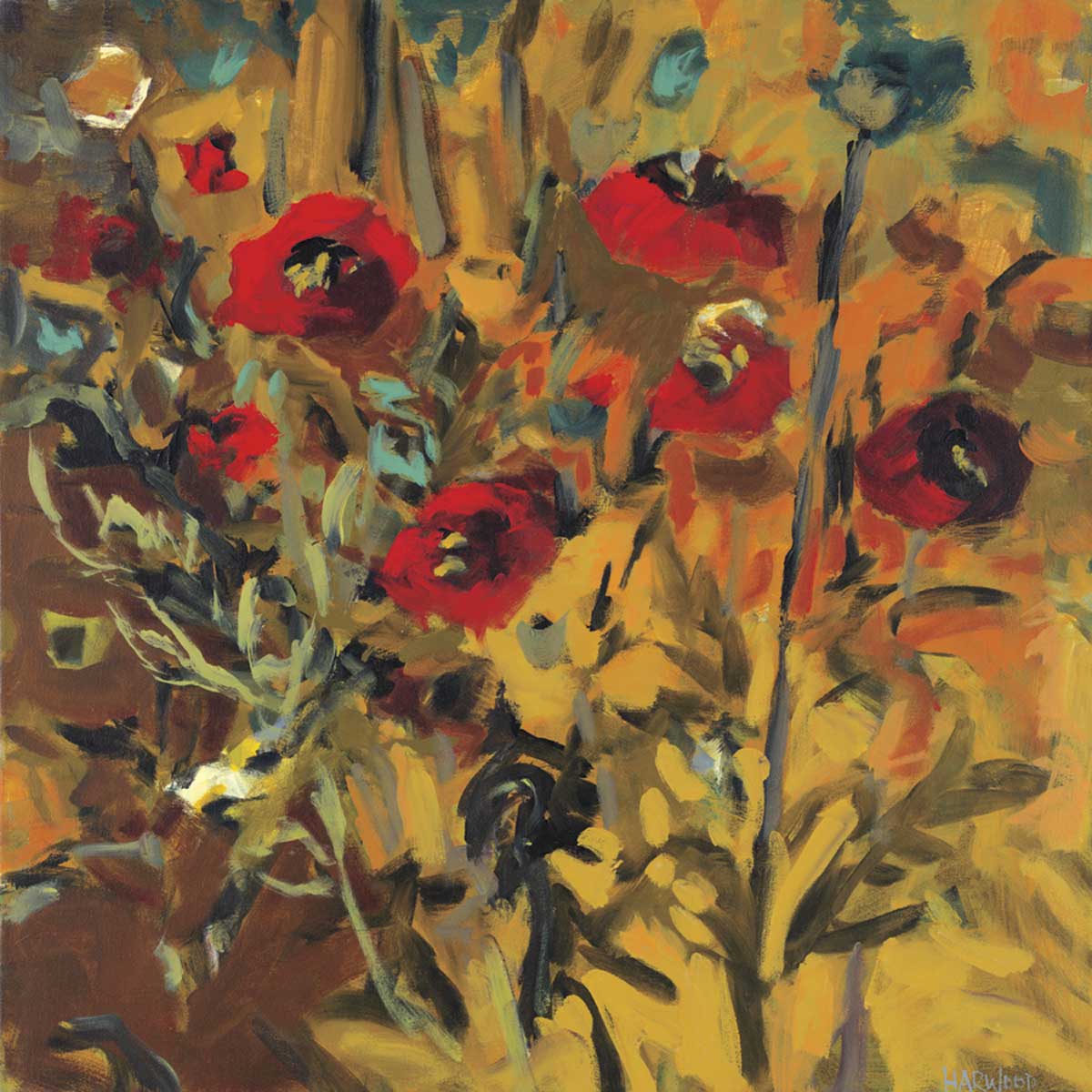 Wild Poppies