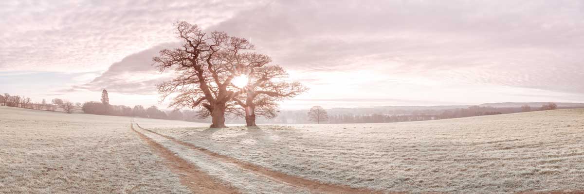 Soft Sunrise