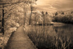 Take My Lead II
