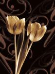 flowers & plants Eloquence I
