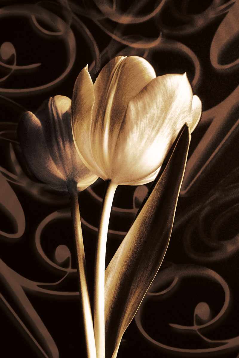 Floral Eloquence II