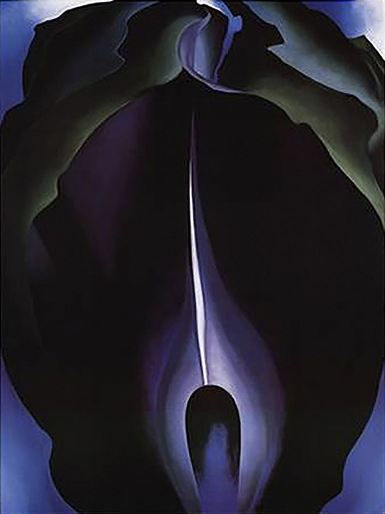 Jack in the Pulpit