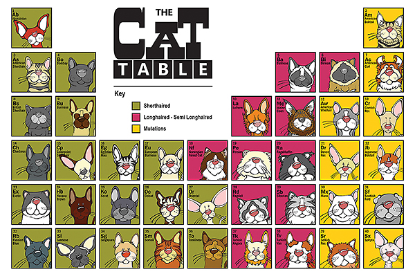 The Cat Table