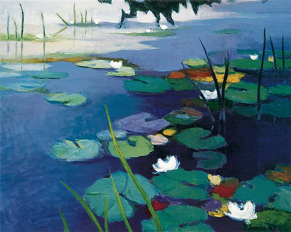 Water Lilies