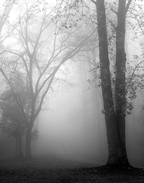 November Fog