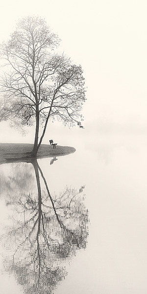 Tranquil Morning