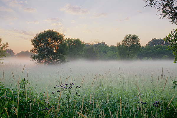 Western Plains Sunrise