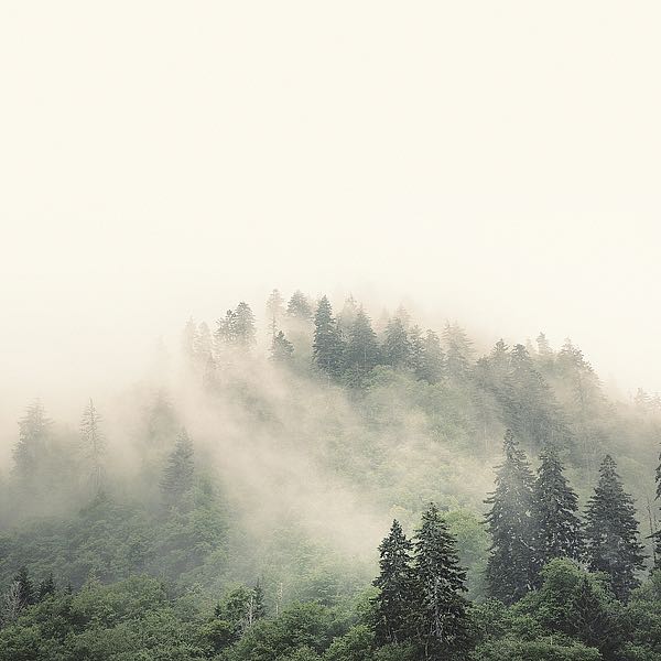 Smoky Mountains